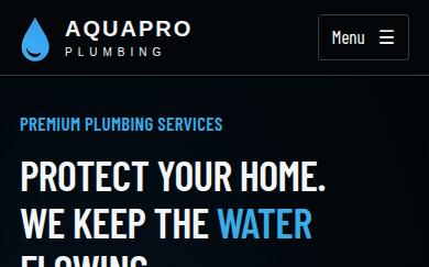 AquaPro — original marketplace product preview 4